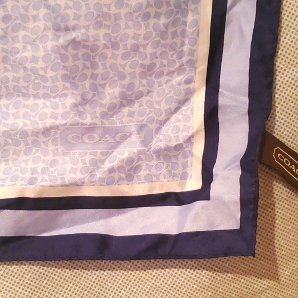 Silk Coach Scarf